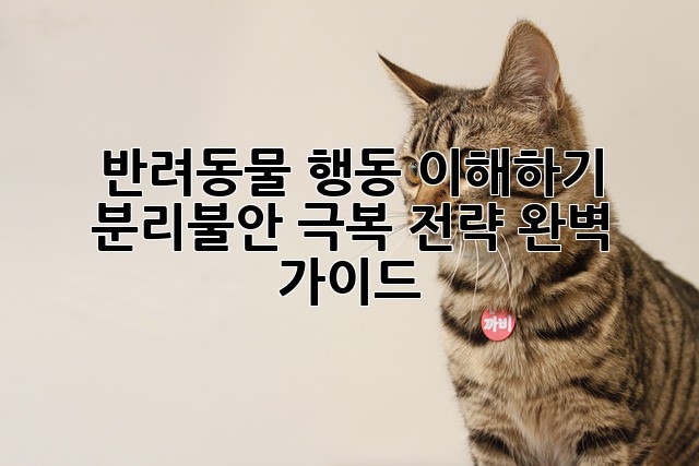 반려동물 행동 이해하기: 분리불안 극복 전략 완벽 가이드