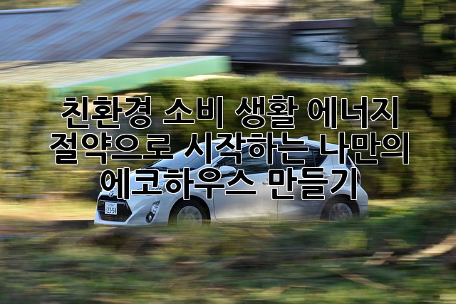 친환경 소비 생활: 에너지 절약으로 시작하는 나만의 에코하우스 만들기