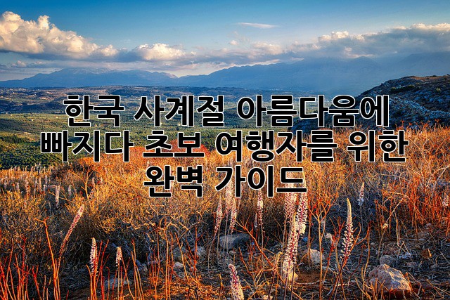 한국 사계절 아름다움에 빠지다: 초보 여행자를 위한 완벽 가이드