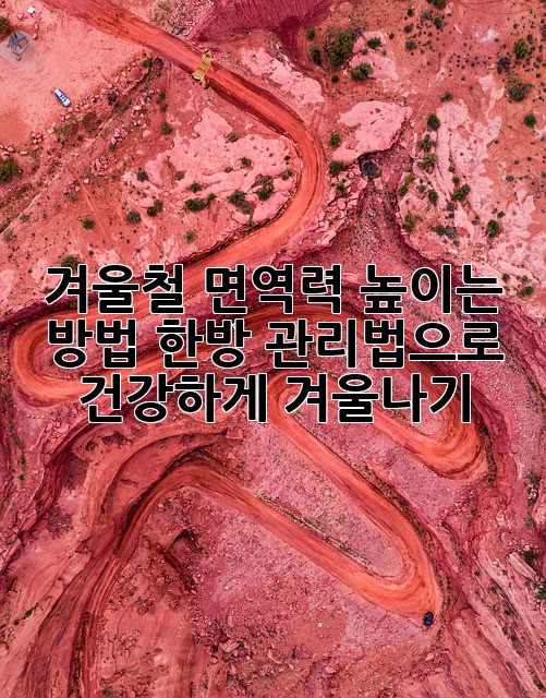 겨울철 면역력 높이는 방법: 한방 관리법으로 건강하게 겨울나기