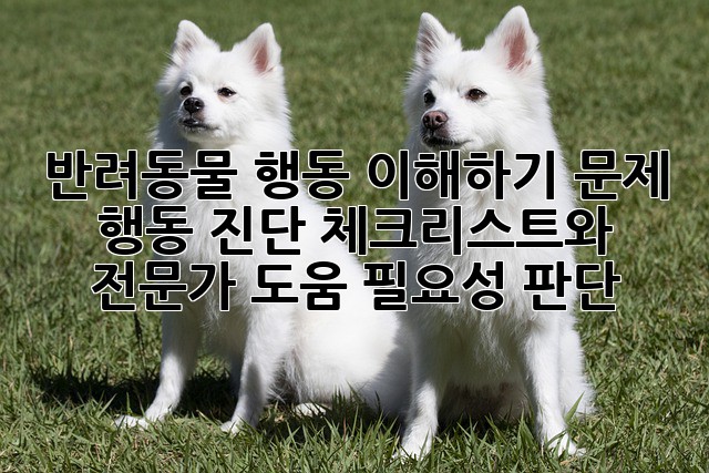 반려동물 행동 이해하기: 문제 행동 진단 체크리스트와 전문가 도움 필요성 판단