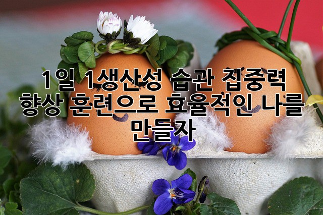 1일 1생산성 습관: 집중력 향상 훈련으로 효율적인 나를 만들자!