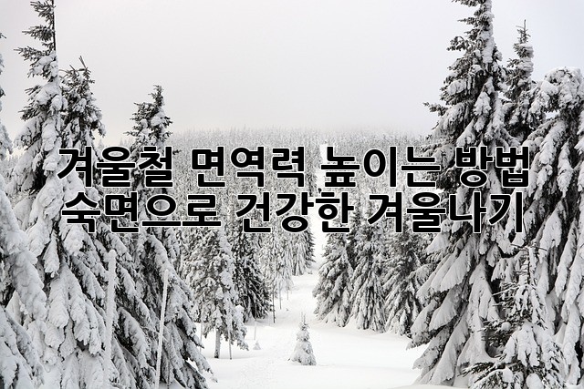 겨울철 면역력 높이는 방법: 숙면으로 건강한 겨울나기