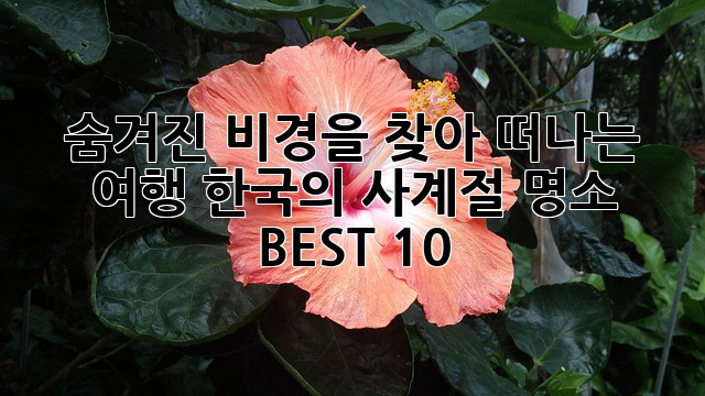 숨겨진 비경을 찾아 떠나는 여행: 한국의 사계절 명소 BEST 10