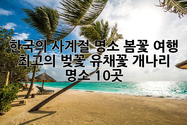 한국의 사계절 명소: 봄꽃 여행, 최고의 벚꽃, 유채꽃, 개나리 명소 10곳! 🌸